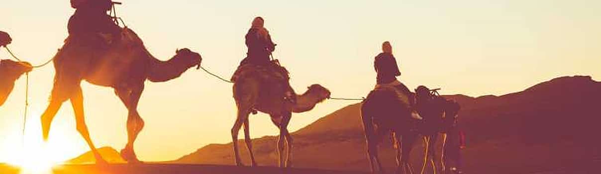 Foto 1 Paseo en camello