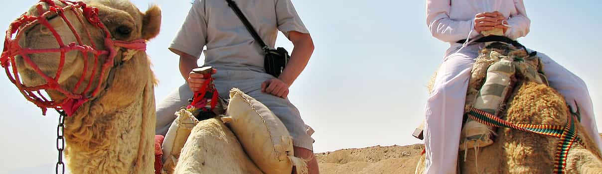 Фото 1 Частный тур "Сафари на верблюдах