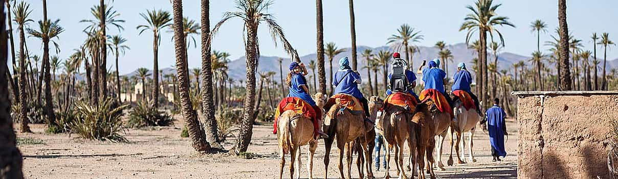 Photo 1 Camel Ride in the Palm Grove