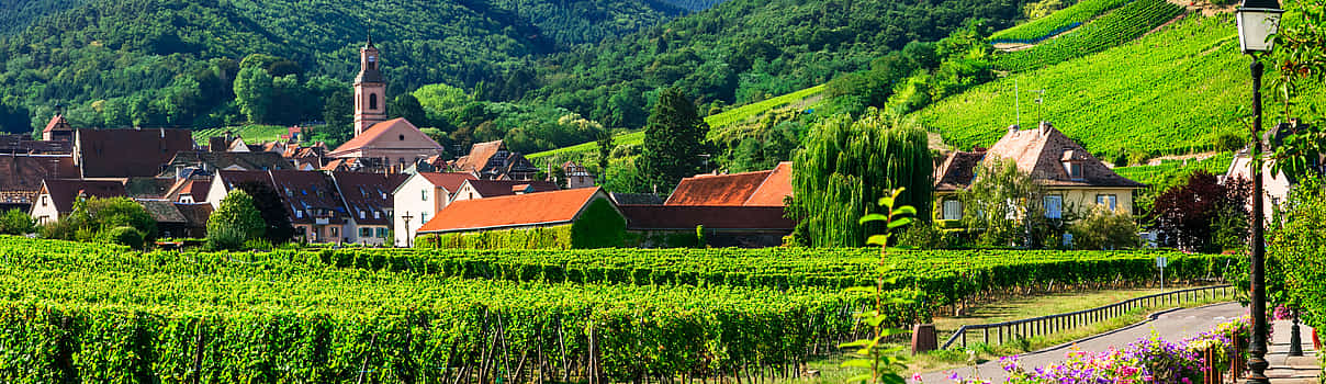 Photo 1 4-hour Private Tour: Escape on the Alsace Wine Route
