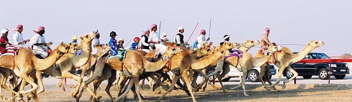 Photo 1 Sheikh Faisal Museum, Camel Race Track and Equestrian Club Tour