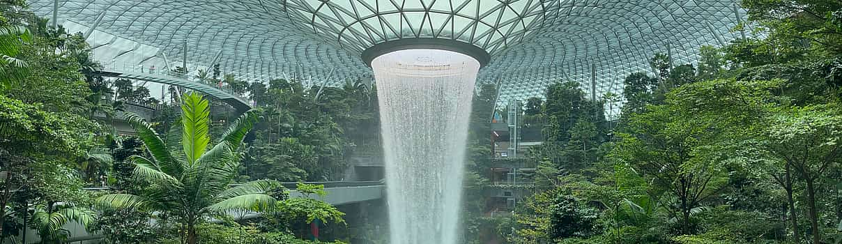 Photo 1 Jewel Changi Airport with Canopy Park. Private Walking Tour