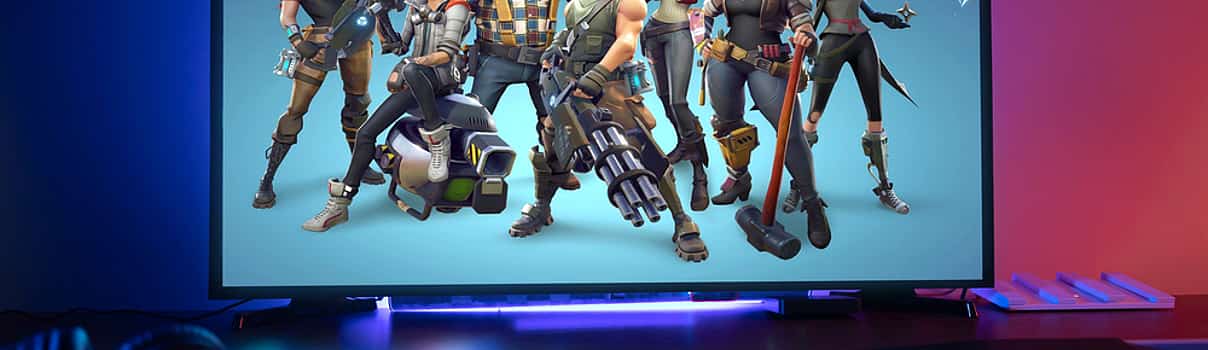 Photo 1 Fortnite Session with a Partner