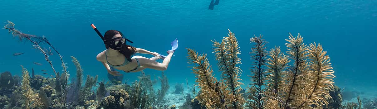 Photo 1 Snorkeling at Blue Lagoon Bali