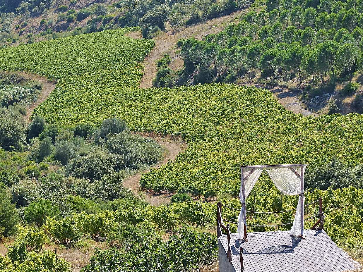Lisbon´s Private Fernão Pó Area Wine Tasting in Portugal
