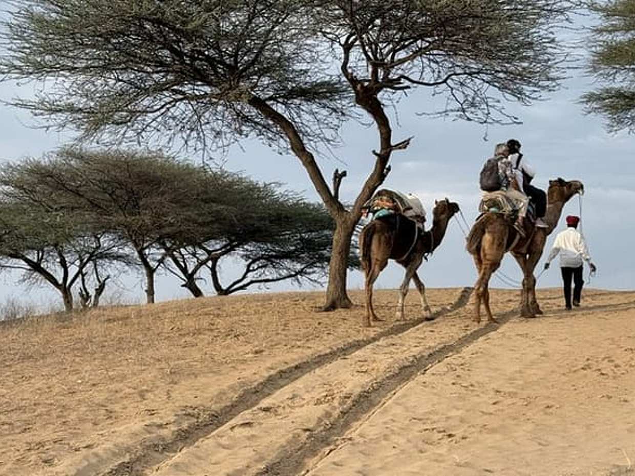 Private Osian Desert Tour with Camel Safari, Dinner & Mandore
