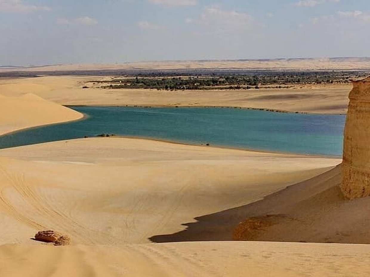 Day Trip to El Fayoum Oasis from Cairo and Giza, photo 4