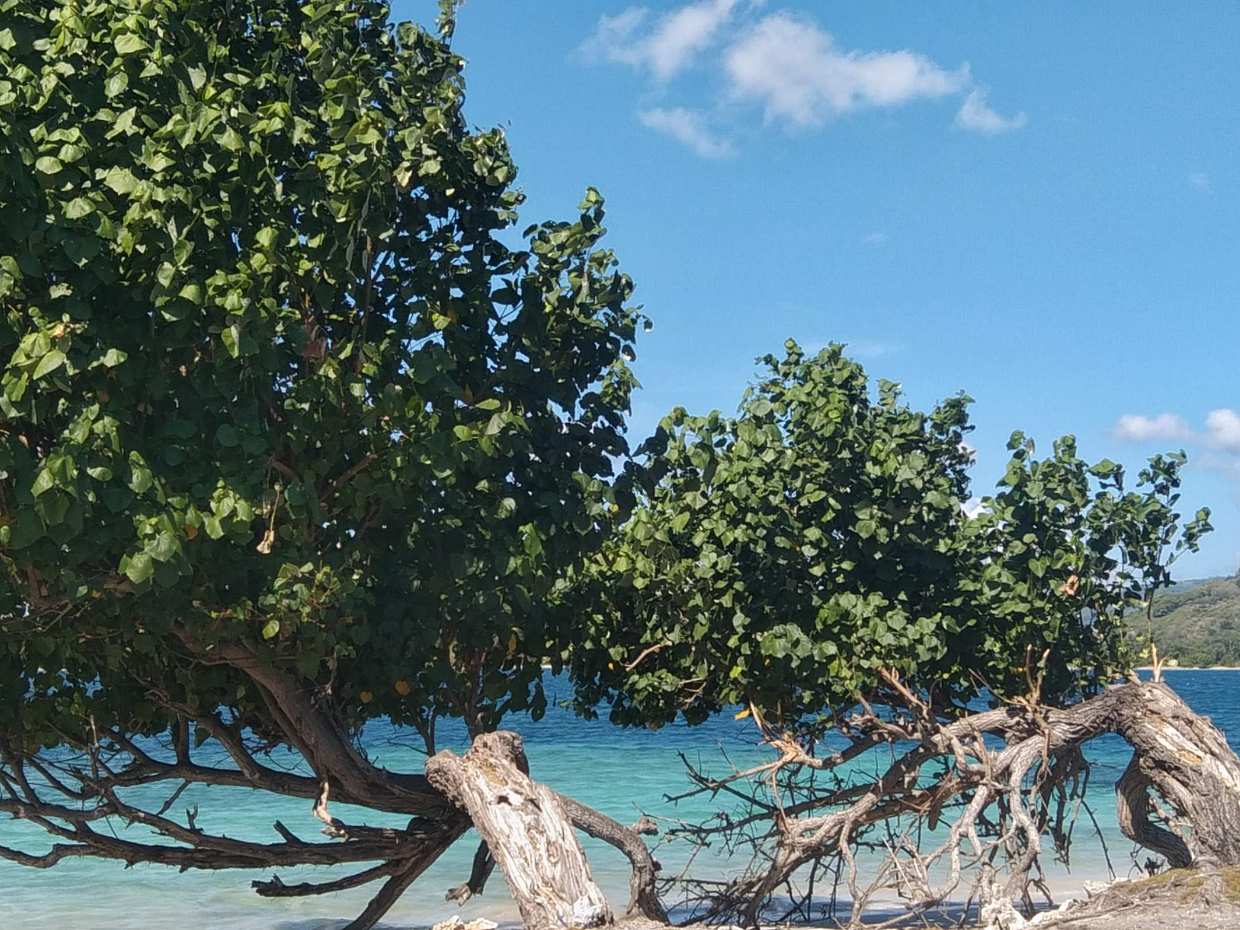 Nature, Exploration, Snorkeling, Stress Relief in Indonesia, Lombok, photo 4
