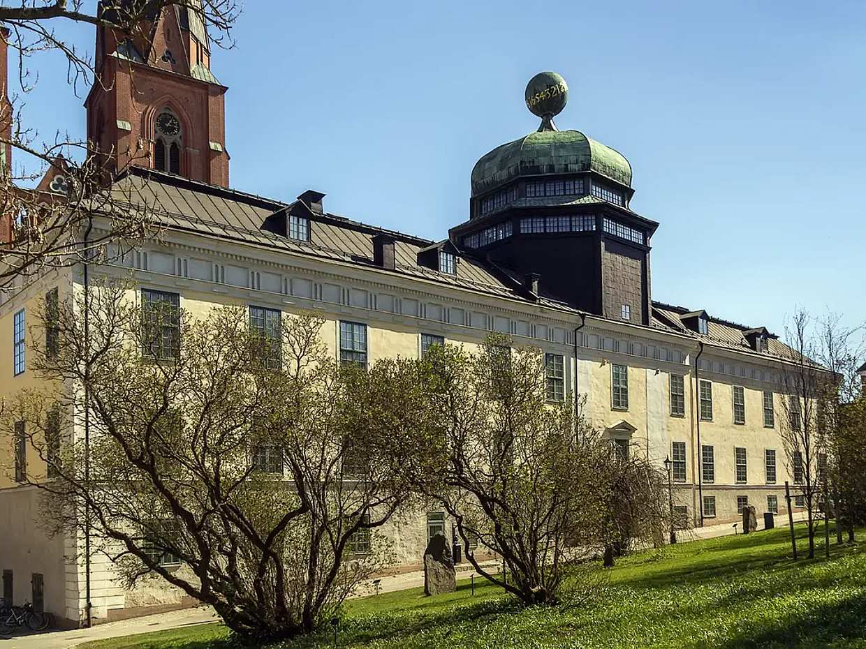 Full-day  Trip to Uppsala, photo 2