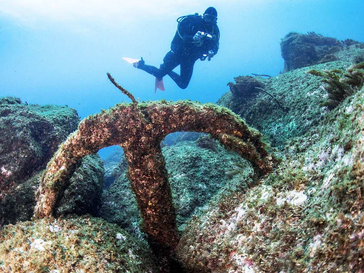 Zostań certyfikowanym nurkiem Open Water Diver na Azorach - Wyspa Pico - Twoja podwodna przygoda zaczyna się tutaj! w Portugalii.
, photo 5