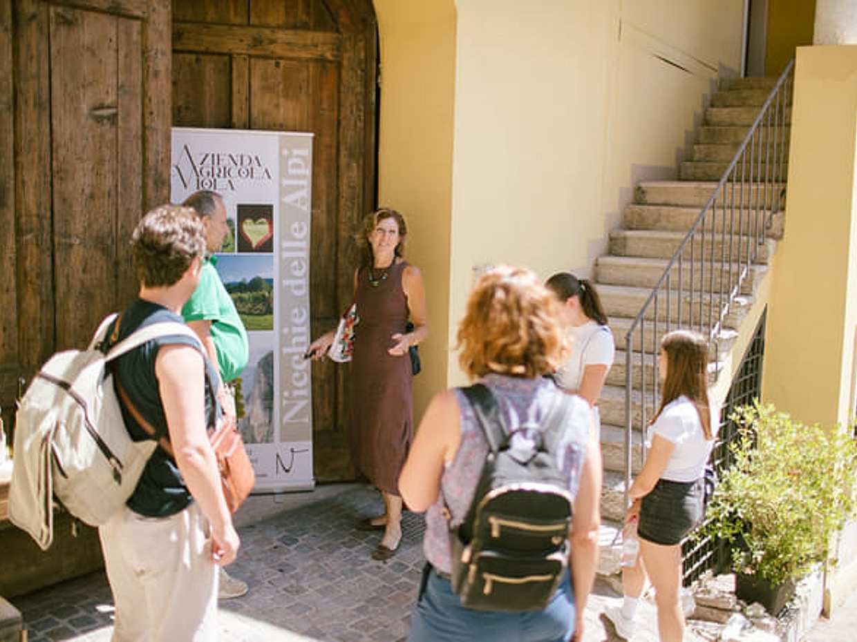 Wine Tasting at Azienda Agricola Viola in Mezzocorona