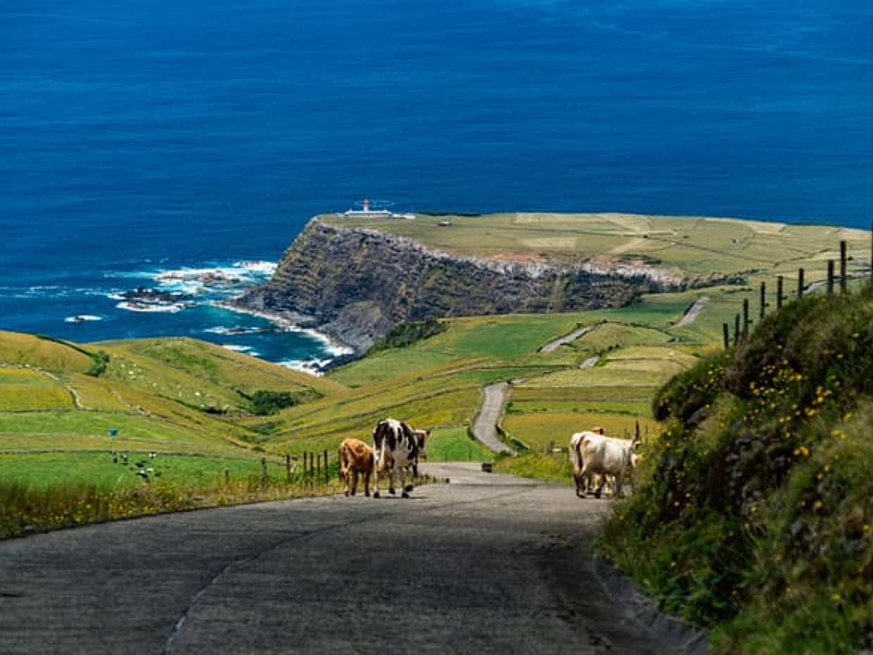 3-Day Flores Escape: Europe’s Westernmost Island, photo 5