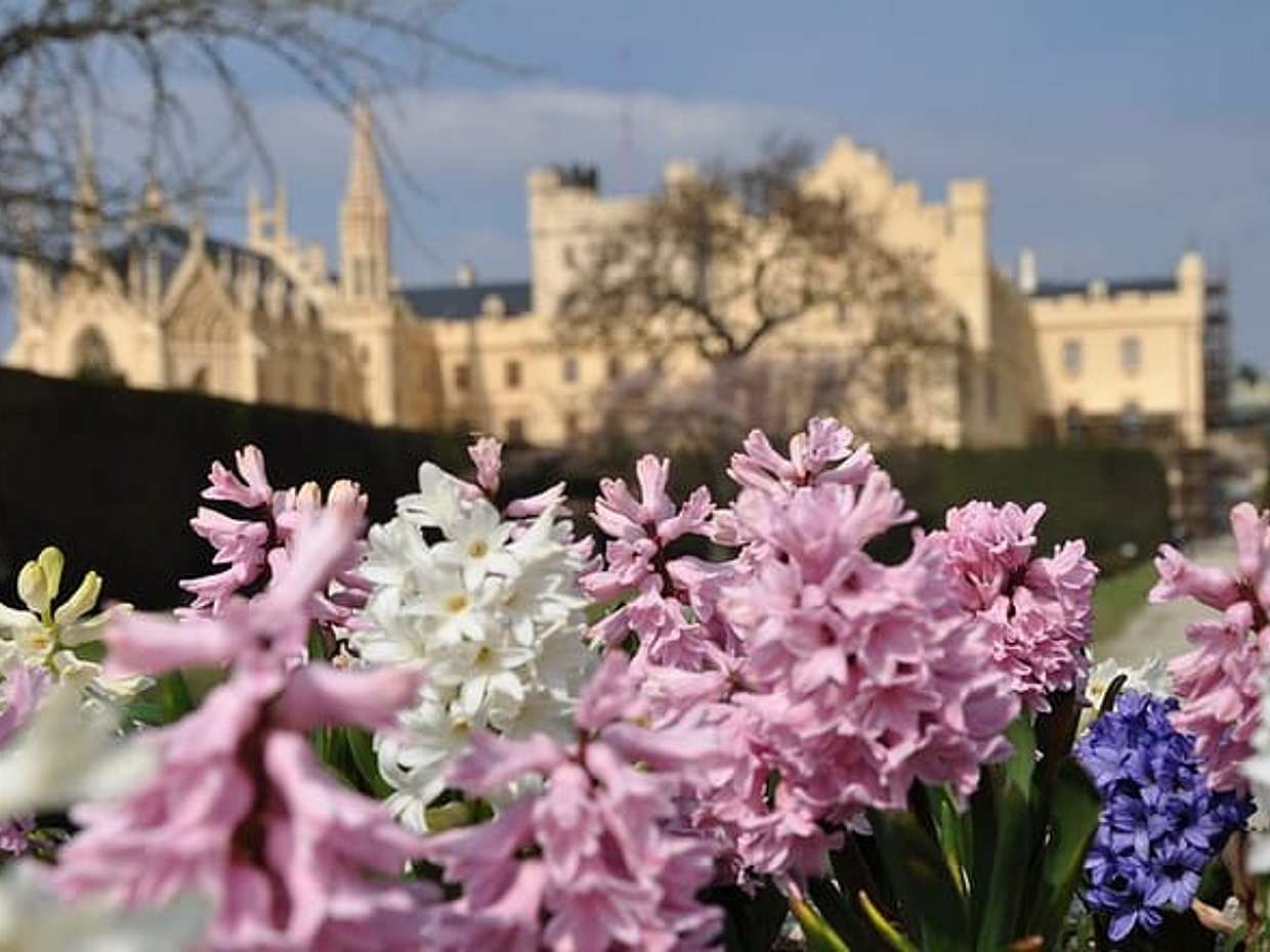 Private 4 Castles Day Trip from Vienna to South Moravian Region in Austria