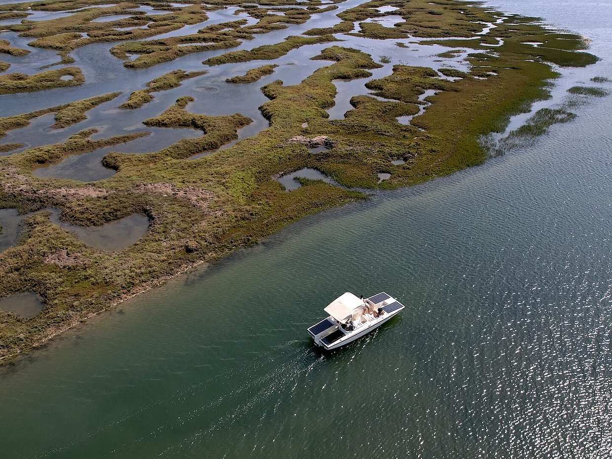Keşfedin: Faro'nun Güzelliği: 1 Saatlik Ria Formosa Eko Turu – Portekiz'deki Bir Doğa Parkında Güneş Enerjili Huzur
