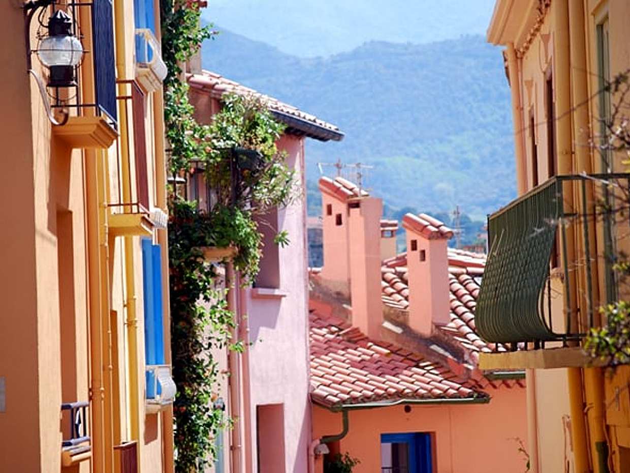 Private Shore Excursion: Collioure and Languedoc from Port Vendres, photo 4