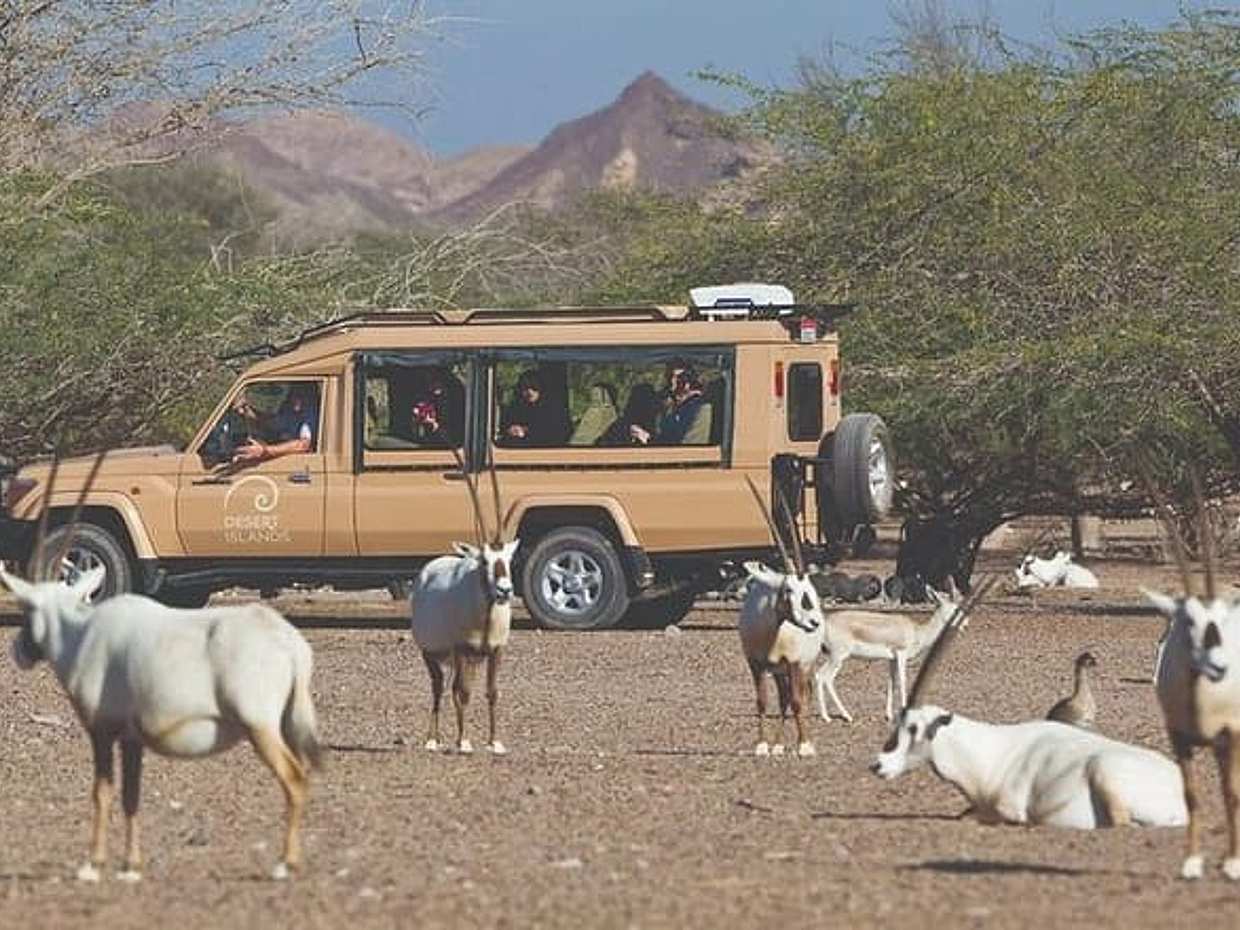 Nature and Wildlife Drive with Lunch- Must do Experience, United Arab Emirates