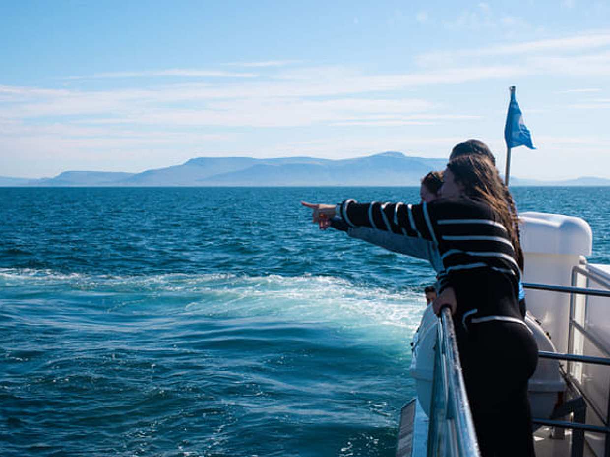 Whale Watching tour from Reykjavik, photo 3
