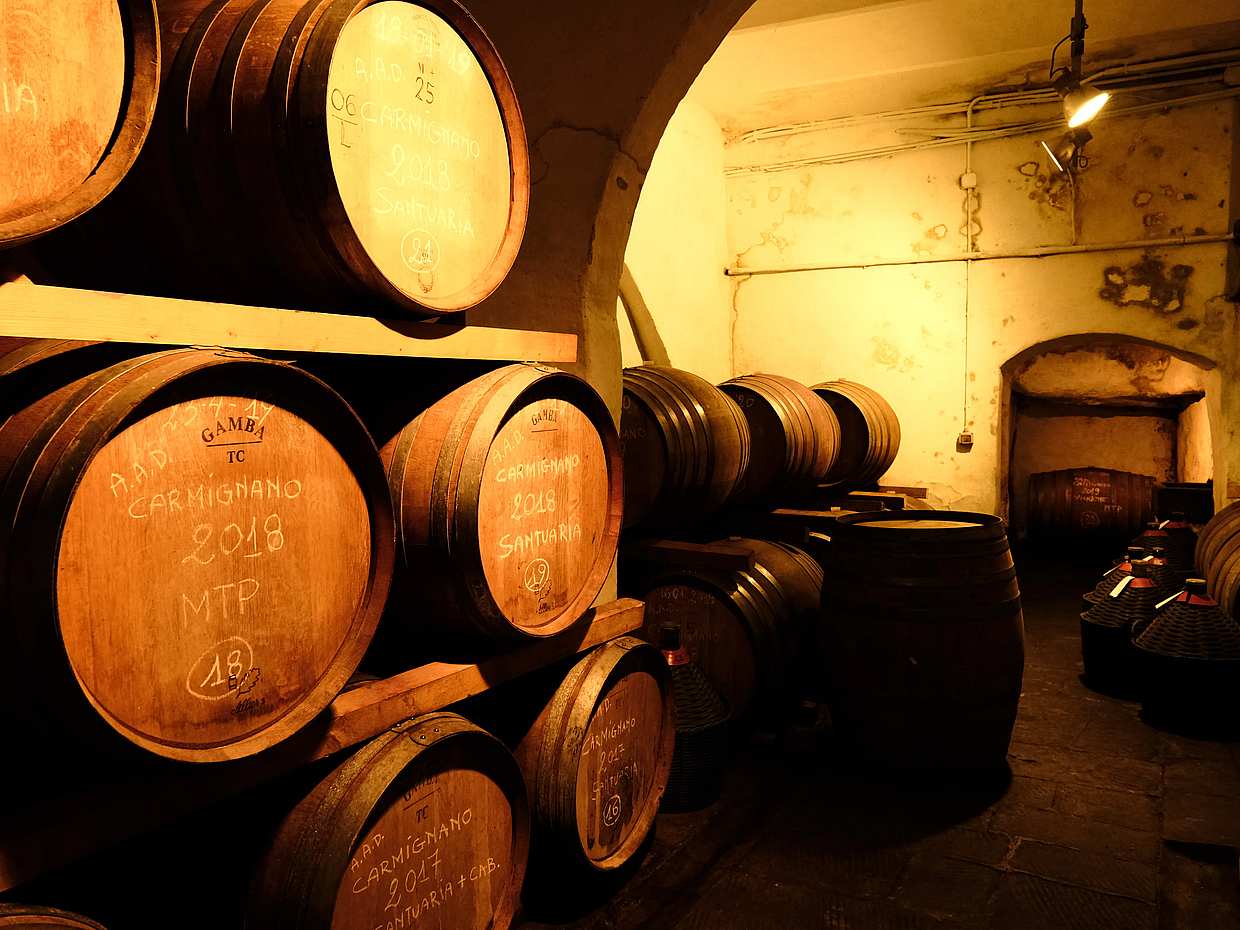 Excursão Privada de Meio Dia de Carmignano: Casa do Primeiro Cabernet-Sauvignon na Toscana, photo 3