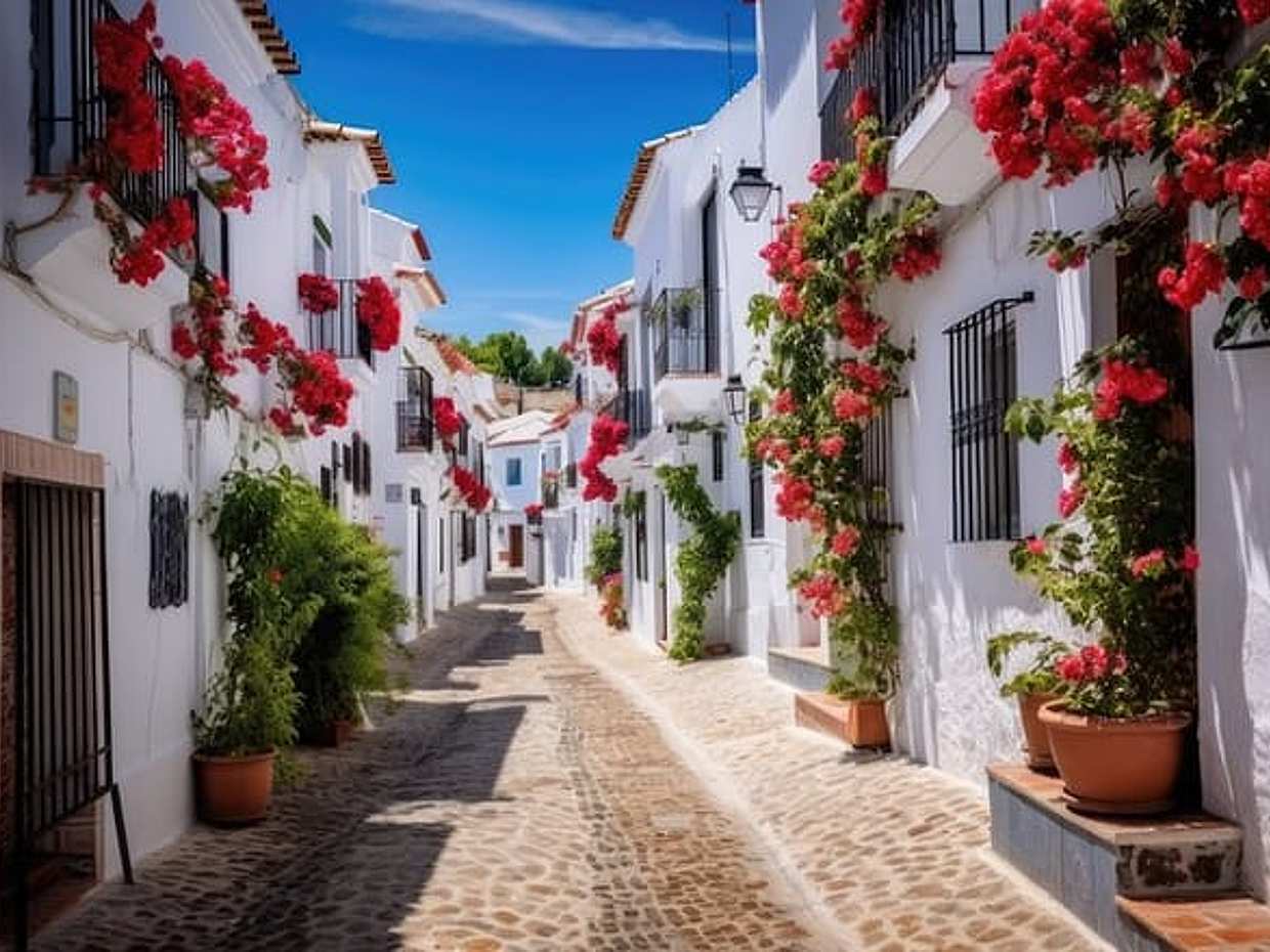 Private day trip from Malaga to Ronda and Marbella, Local driver in Spain, photo 5