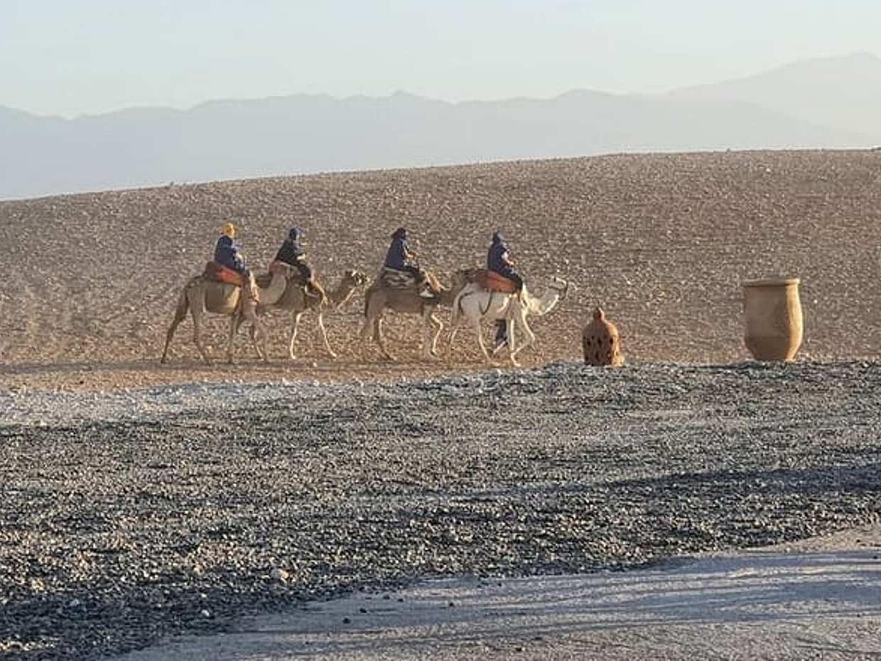 1 Hour Camel Ride in the palm groves of Marrakech, photo 5