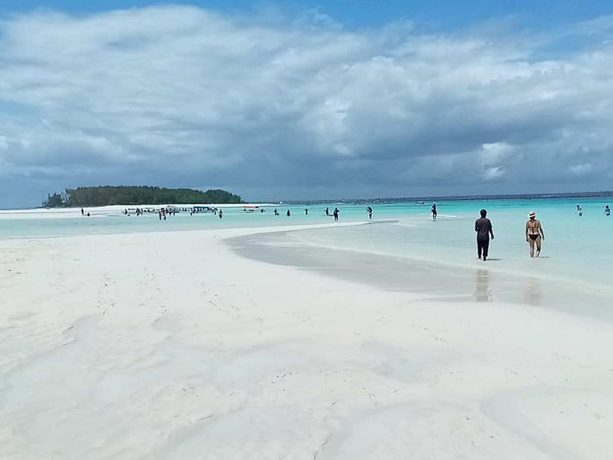 Zanzibar: Mnemba Island Snorkeling and Swimming with Dolphin in Tanzania, photo 3