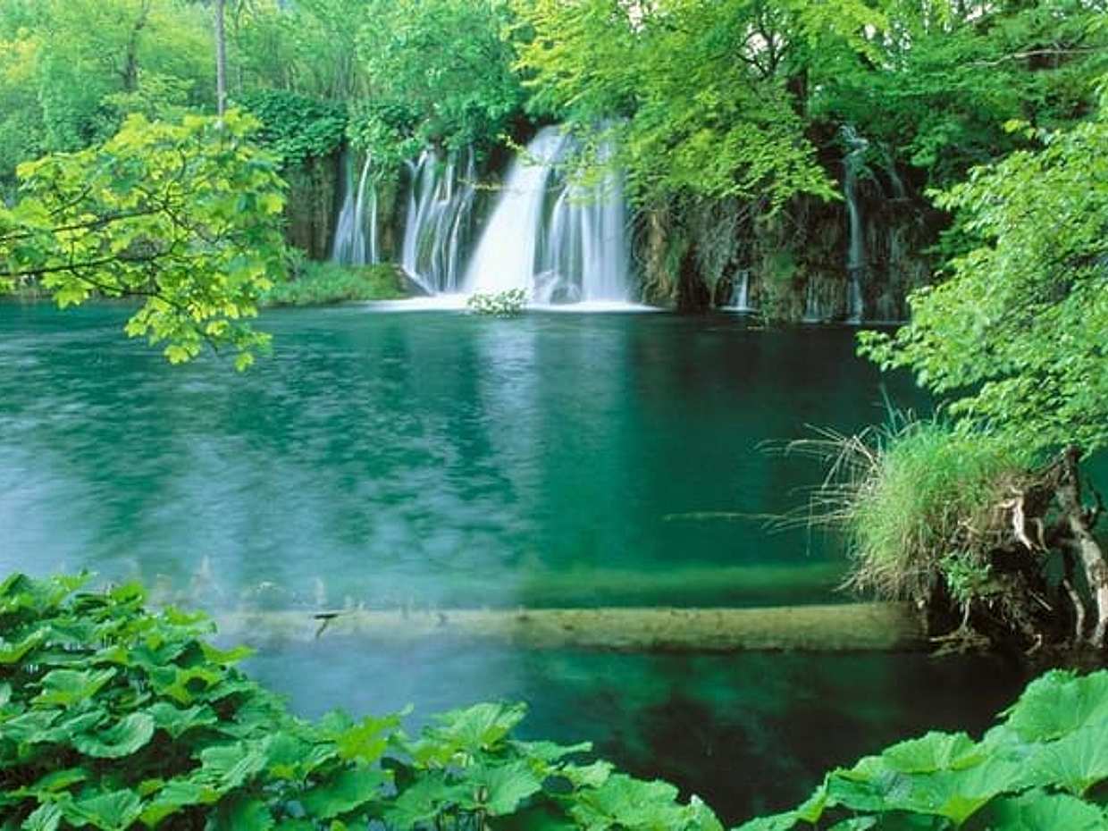 Private Full - Day Tour: Plitvice Lakes from Zadar, photo 5