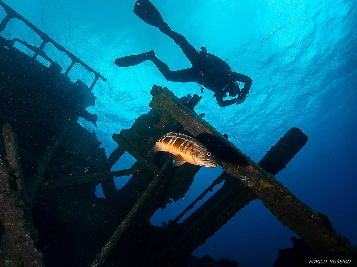 Azores: Buceo en la Isla de São Miguel en Portugal
, photo 2