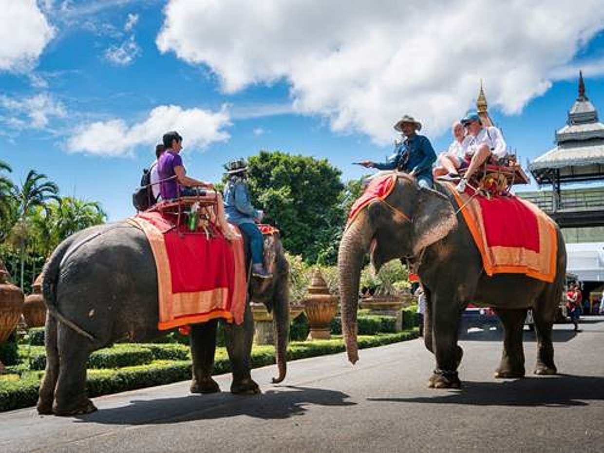 Pattaya: Poblado del Jardín Tropical Nong Nooch con autobús turístico, espectáculo de elefantes y traslado de ida y vuelta en Tailandia, ciudad de Pattaya.
, photo 4