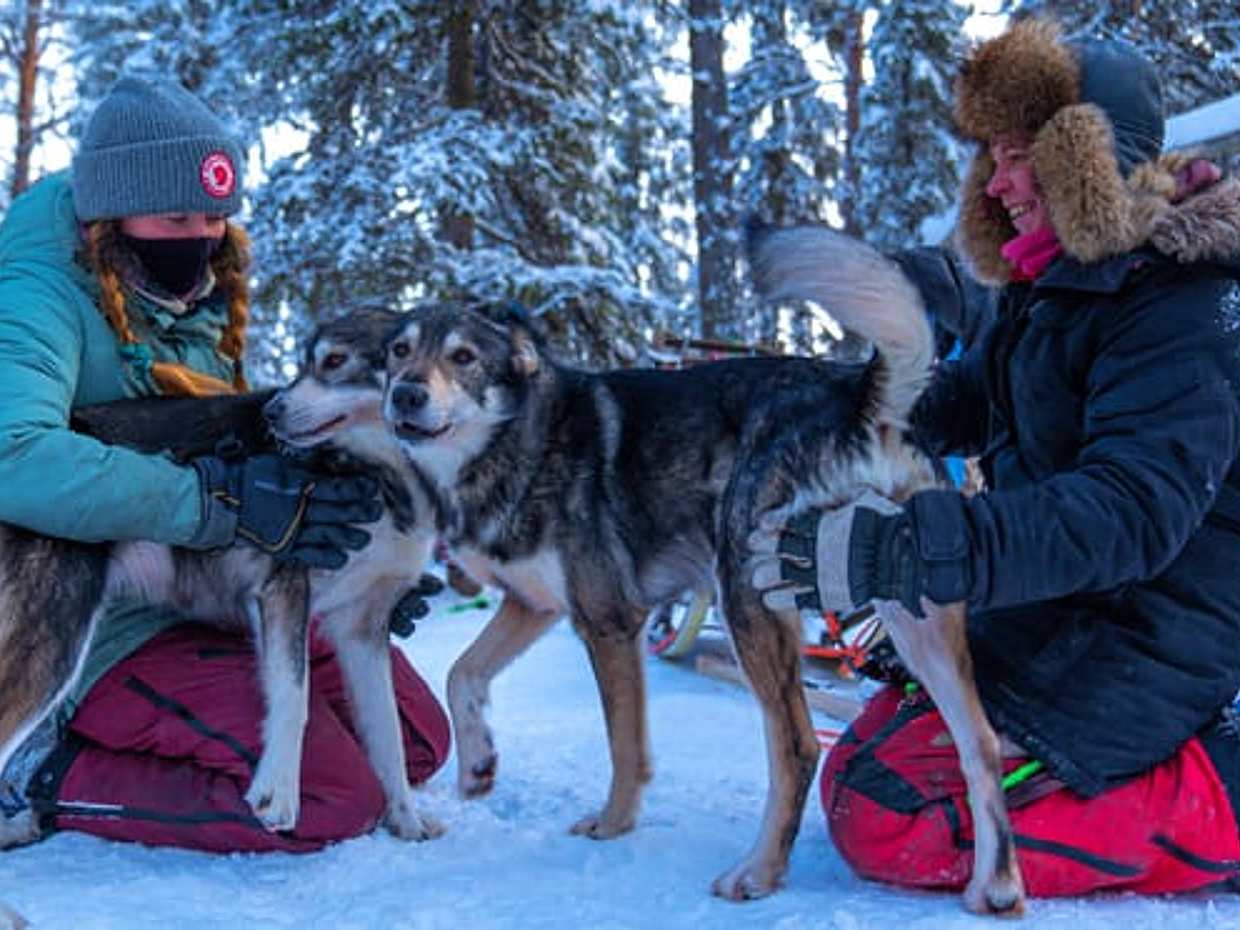 Husky Safari 10 km Self-Drive, Levi, photo 4