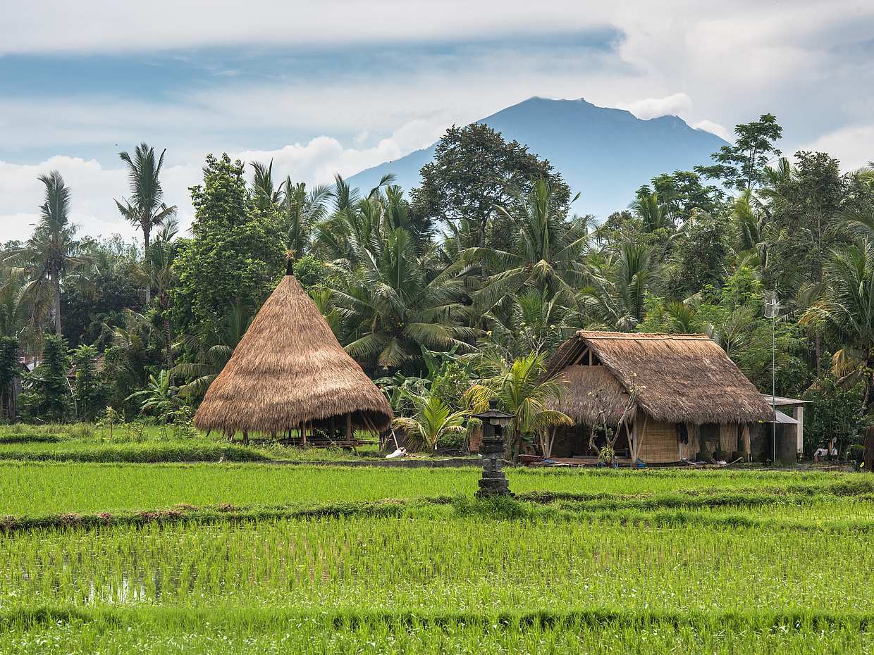 E-bike Ubud to Tegalalang Trip, Indonesia, photo 5
