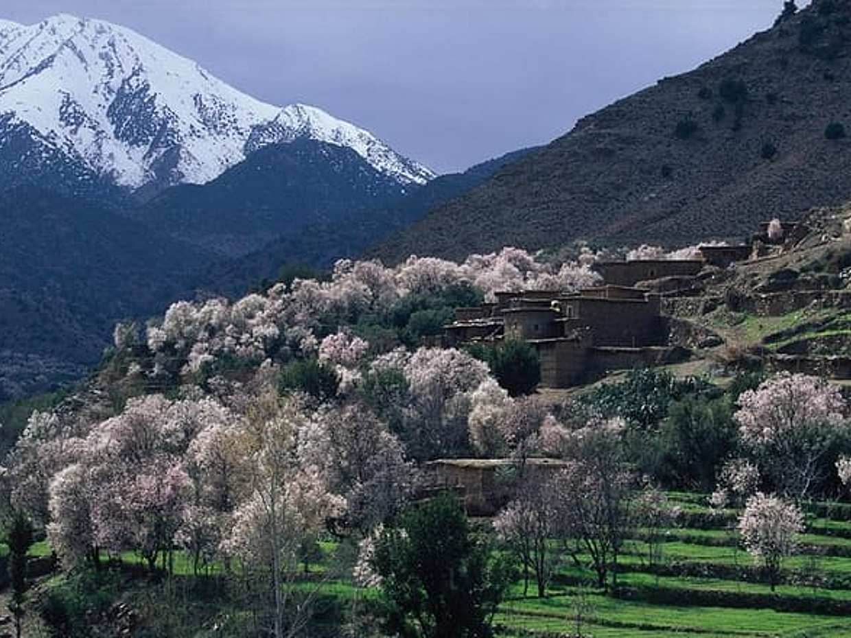 Four Valleys at Atlas Mountains private tour