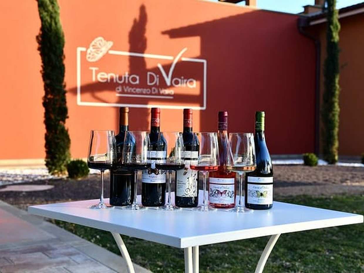 Exclusive Private Bolgheri Experience from Florence: The Land of the Super Tuscan, photo 2