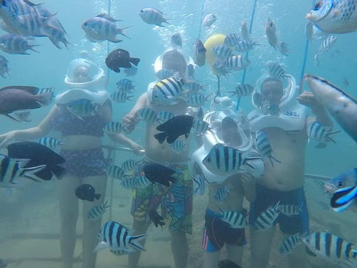 Cham Island Zeewandeling en snorkelen per speedboot in Vietnam, Da Nang, photo 3