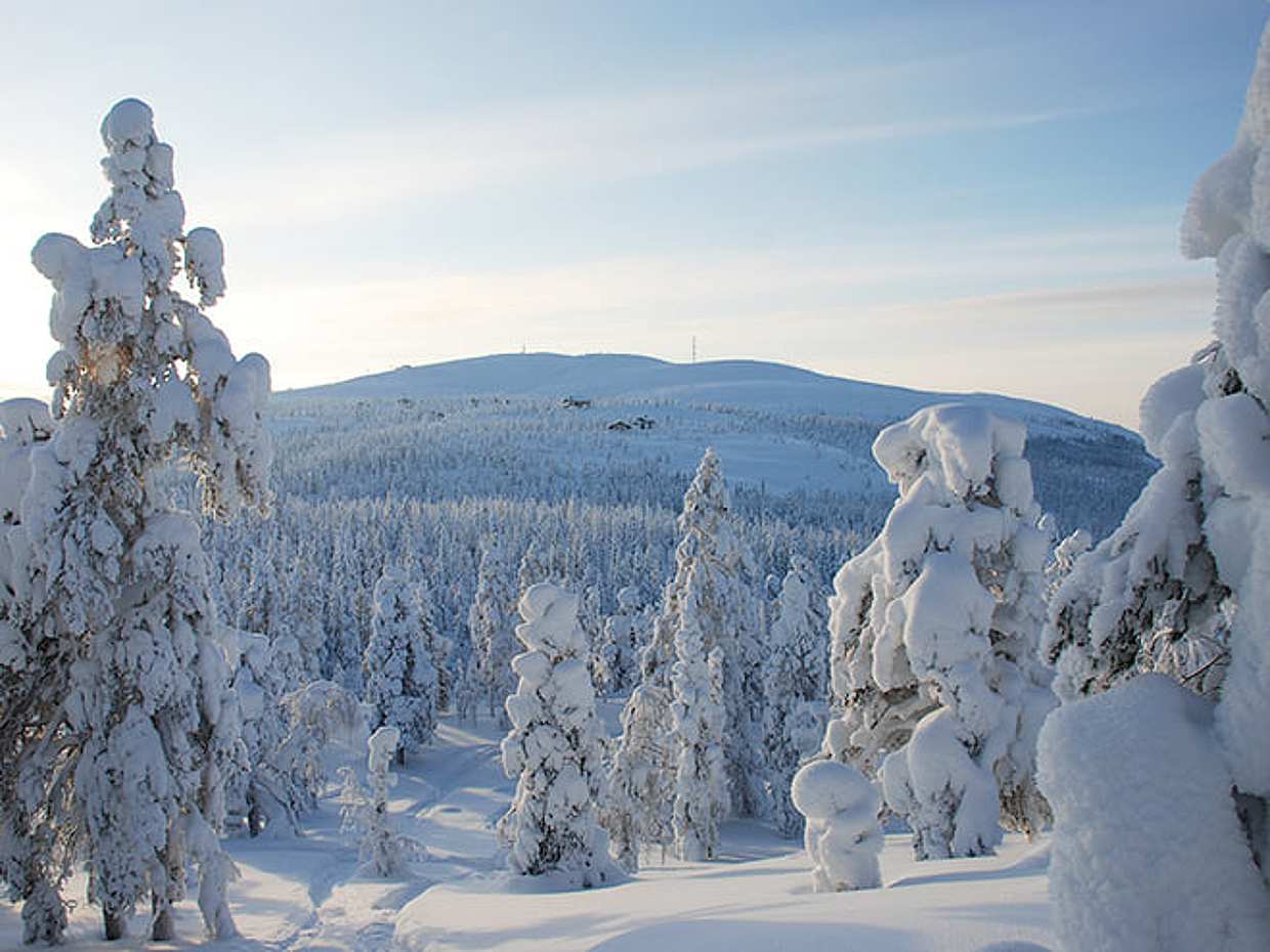 Levi Summit Snowmobile safari - for adults single drivers only, photo 4