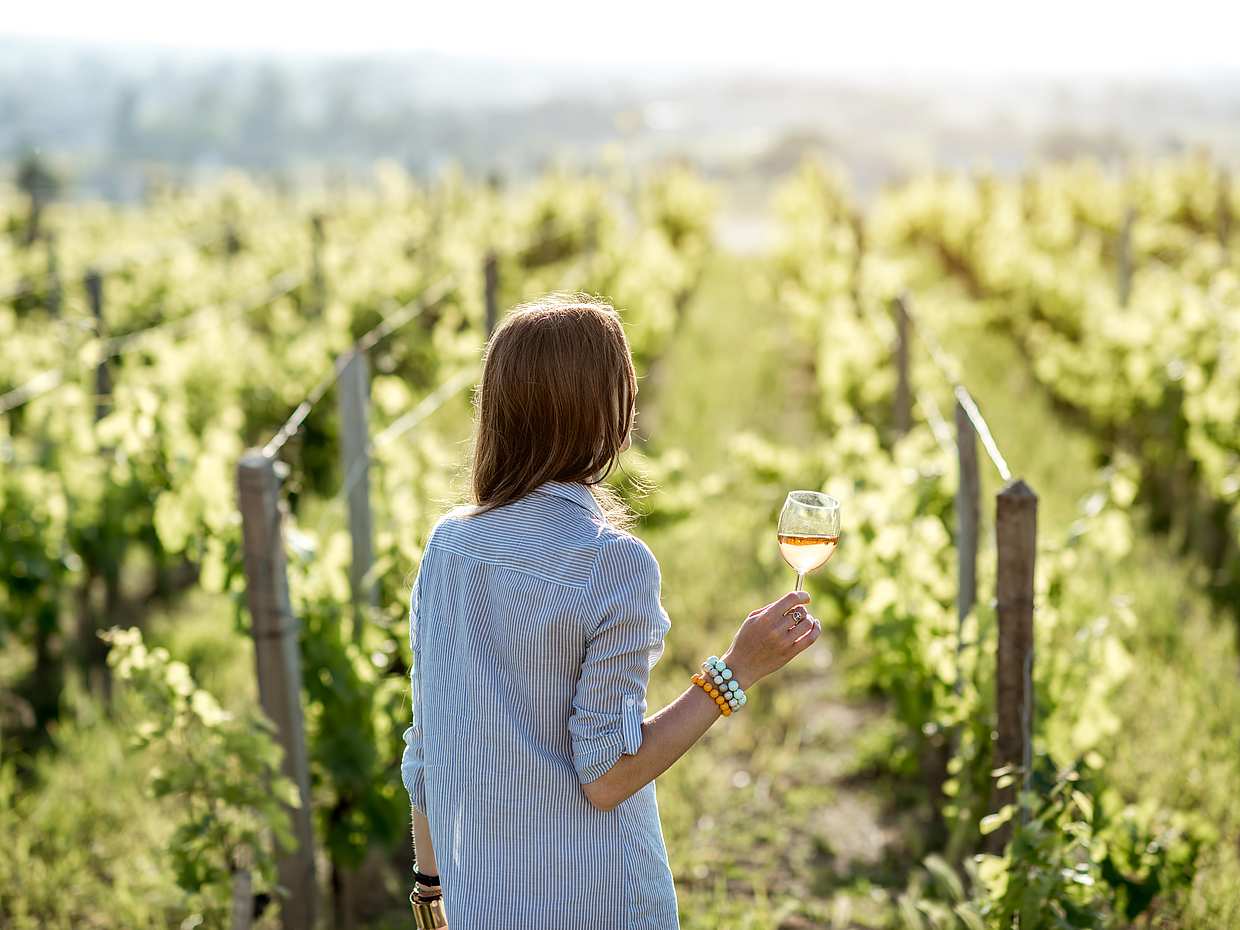 Tour Privado e Prova de Vinhos em Vinícolas de Castelos em Chianti saindo de Florença, na Itália., photo 3