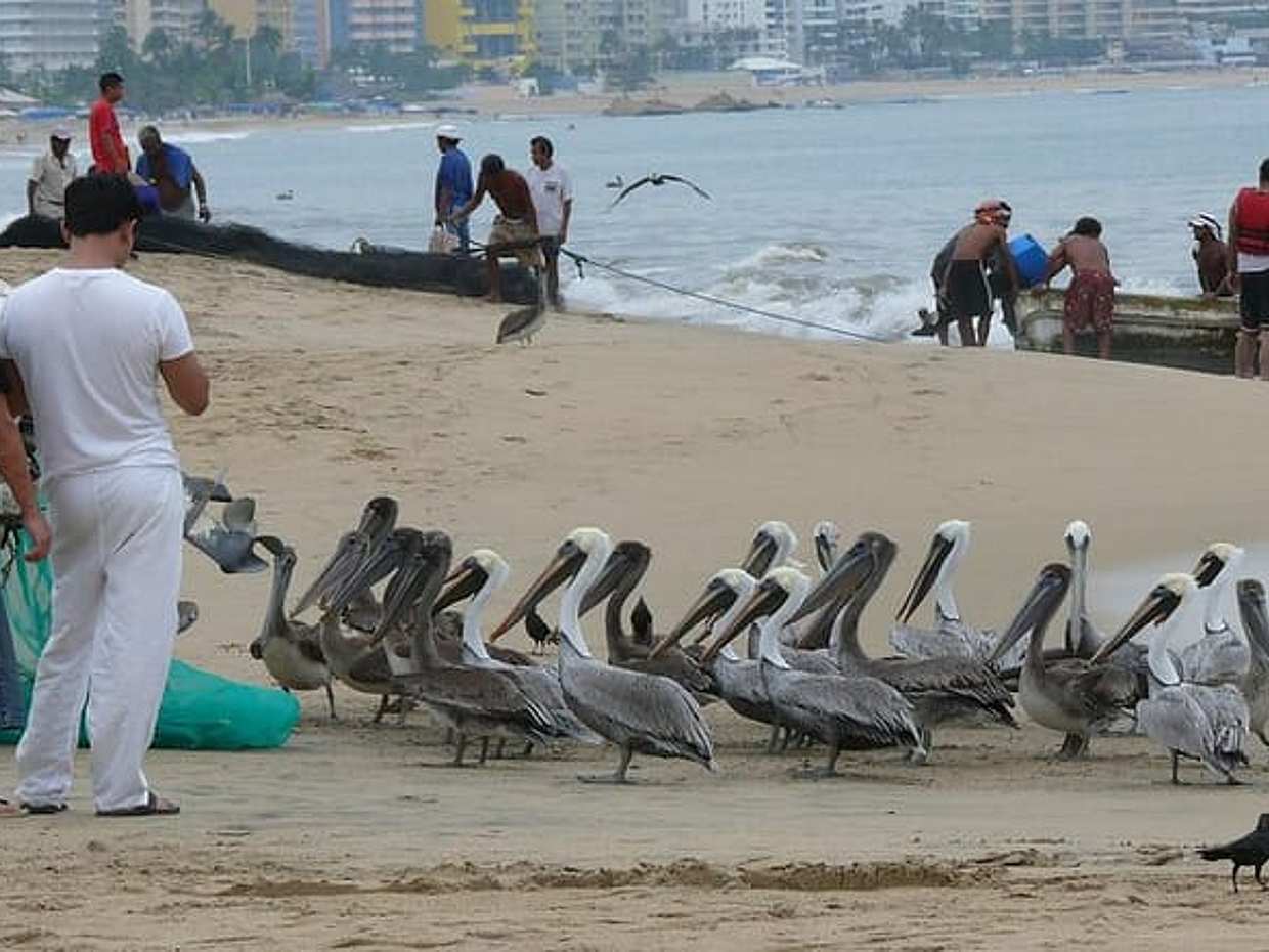 Private Transfer From Mexico City To Acapulco With a 2 Hour Stop, photo 5