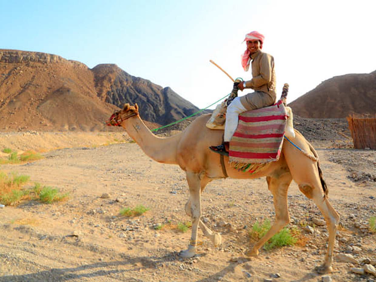TH Exclusives: 5 hrs Quad Bike with BBQ Dinner from Hurghada, photo 3