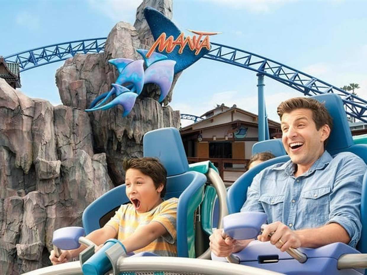 Sea World Theme Park Ticket