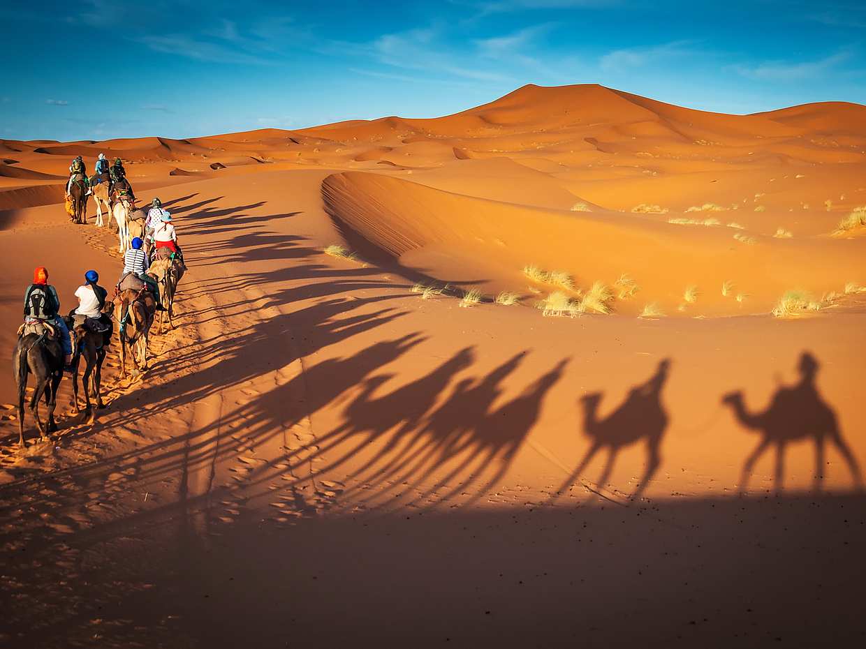 Evening Desert Safari with Quad Bike Ride and Falcon Photography in Dubai, United Arab Emirates, photo 4