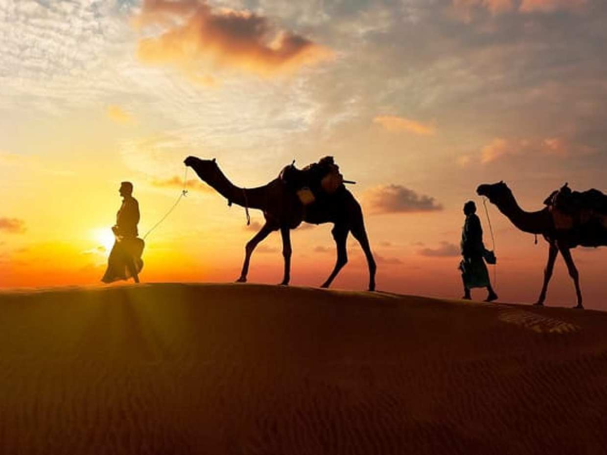 An Evening Desert Safari with Dinner and Live Entertainment, photo 2