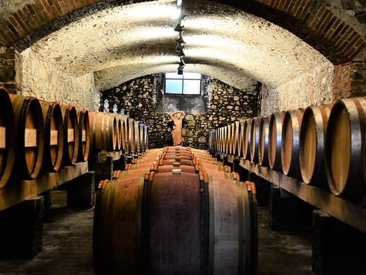 Exclusive Private Chianti Montespertoli with Lunch Half Day from Florence, photo 2