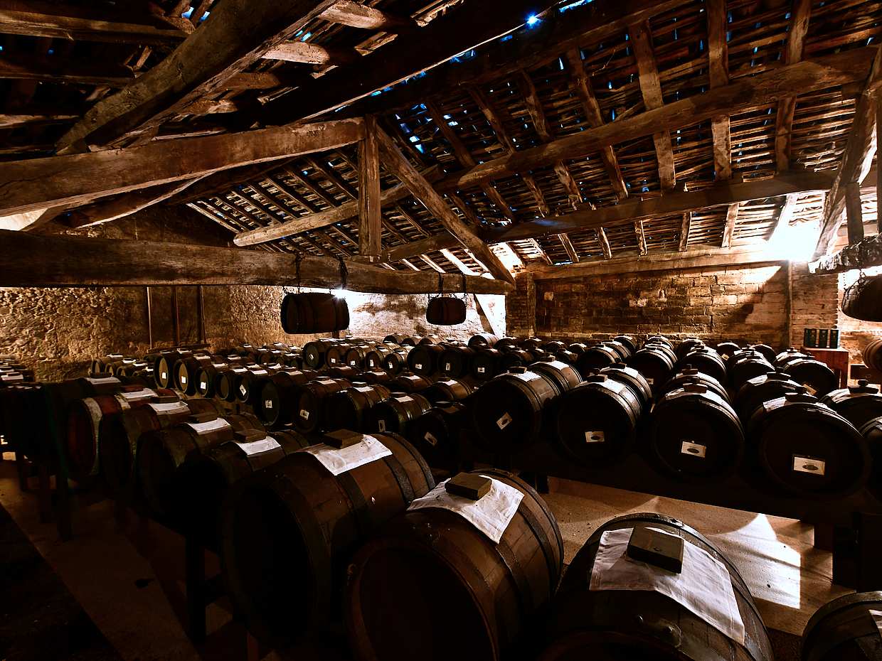 Il gusto dell'Emilia-Romagna: Parmigiano, prosciutto e aceto balsamico di Modena, photo 3