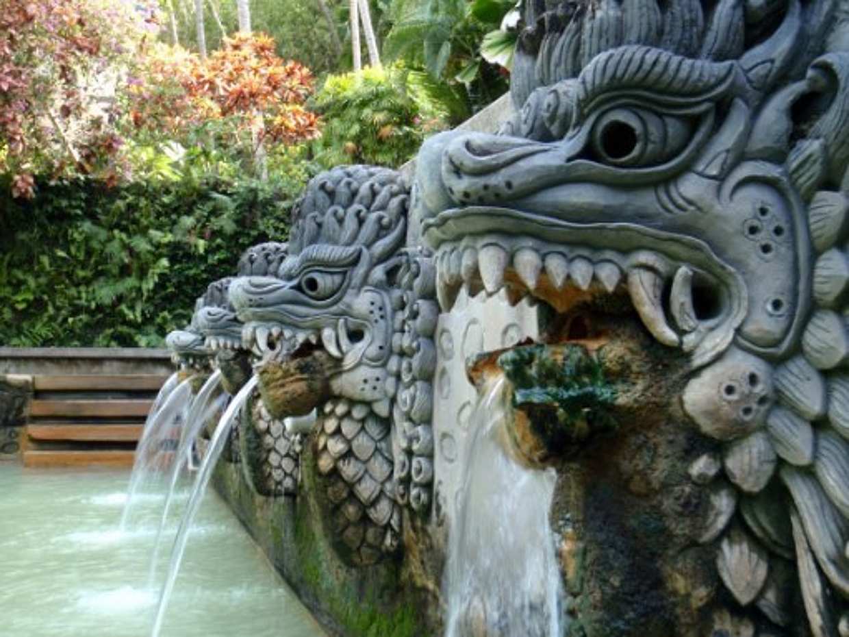 Bali North Coast Full-day Tour, Indonesia, photo 3