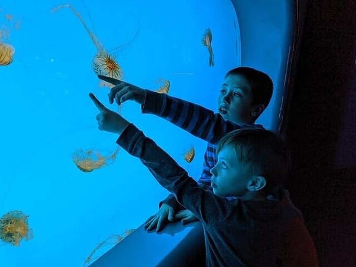 Burj Khalifa and Dubai Aquarium Combo Admission Ticket in United Arab Emirates, photo 3