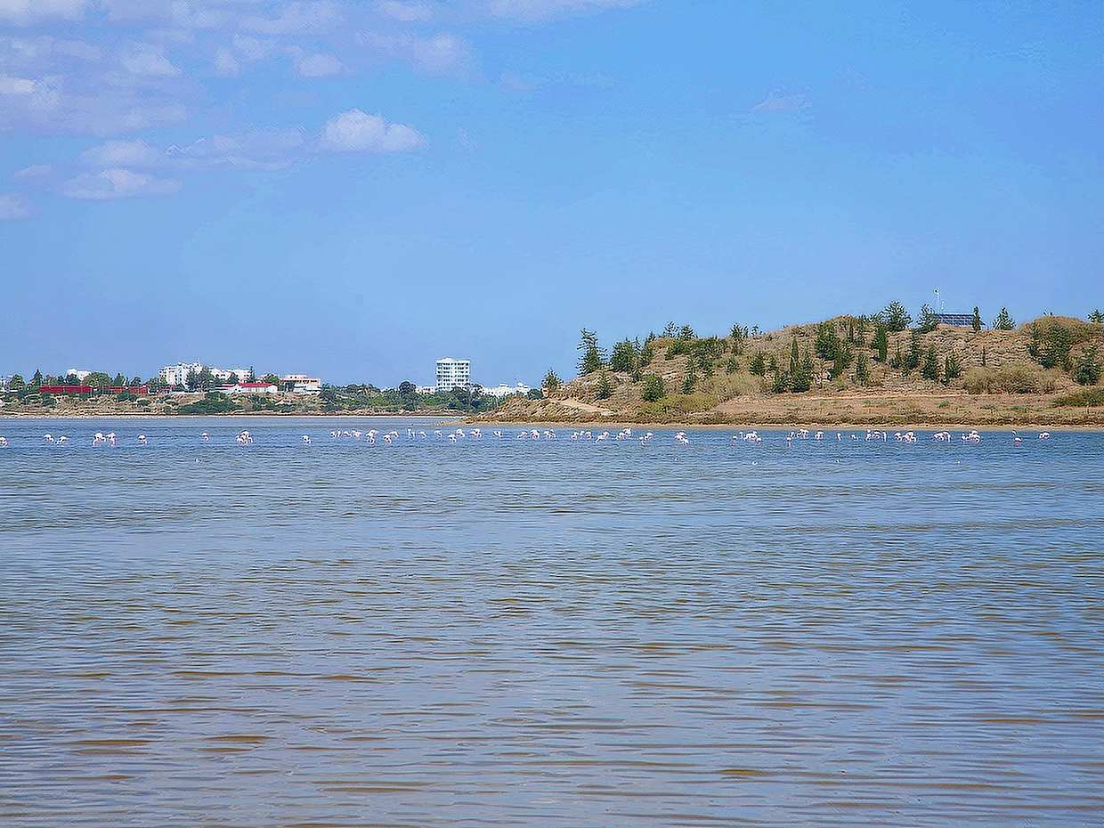 Larnaca & Divided Nicosia Sightseeing Tour from Paphos in Cyprus, North Cyprus Walk, photo 3