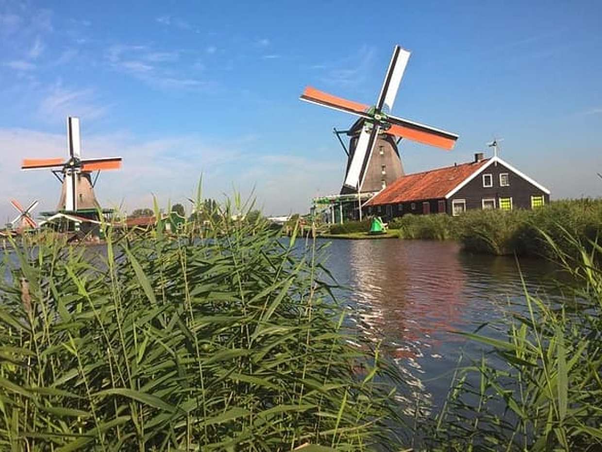 Zaanse Schans Small-Group Half-Day Tour from Amsterdam