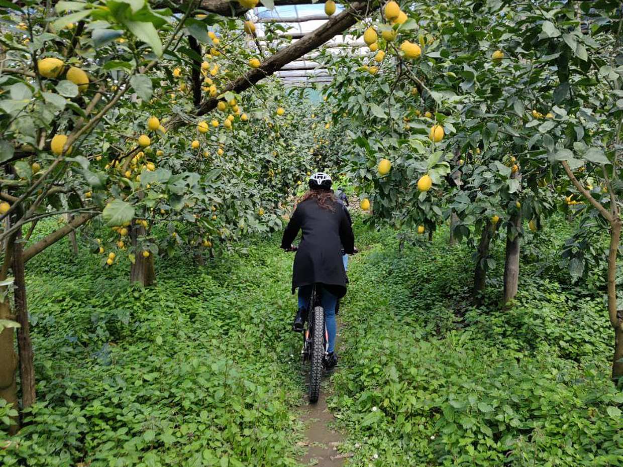 E-Bike Tour in Sorrent mit Limoncello-Verkostung in Italien, Sorrento E-Bike
