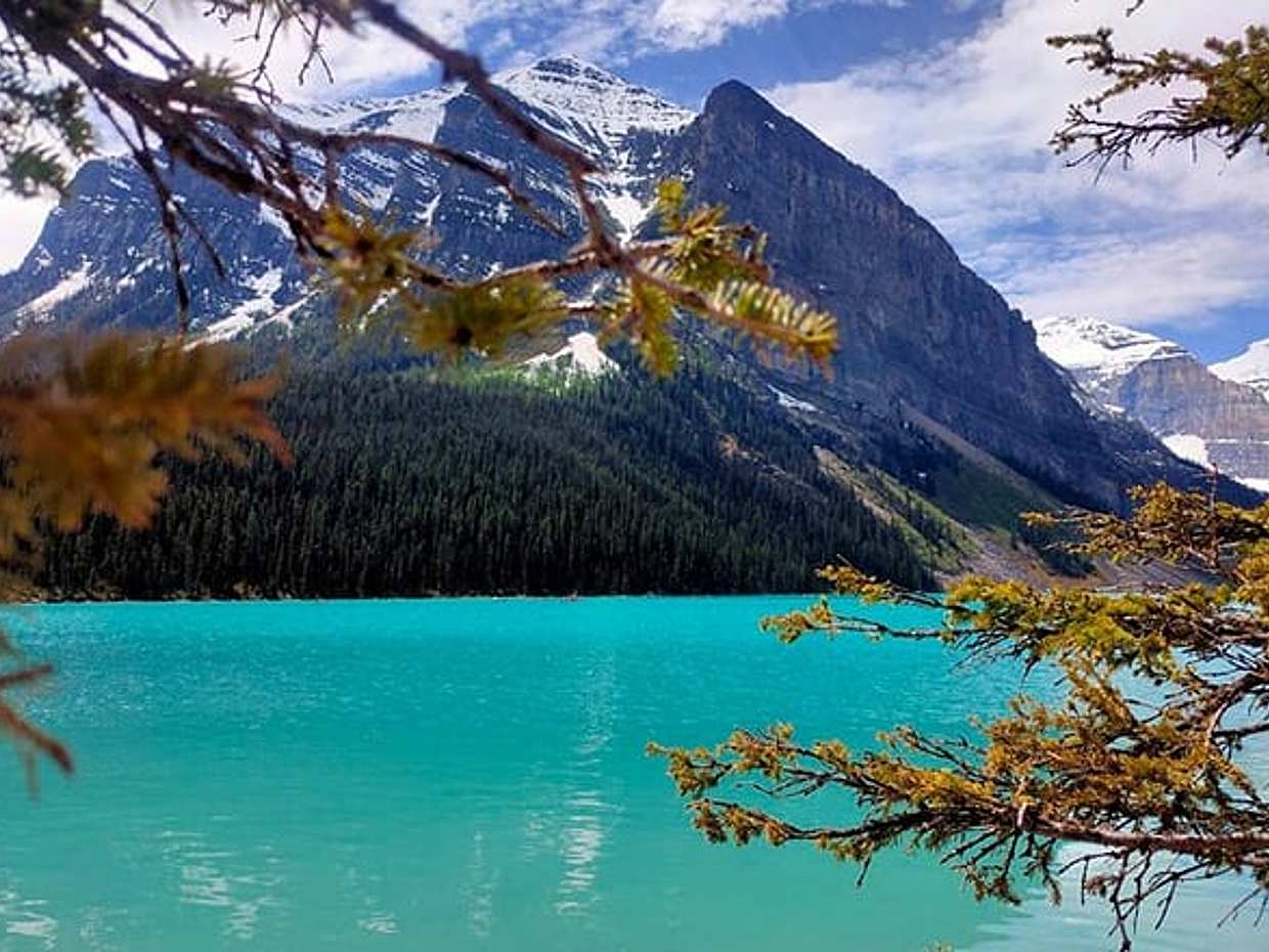 Lake Louise, Moraine Lake, Peyto Lake, Crowfoot Tour from Calgary, photo 2