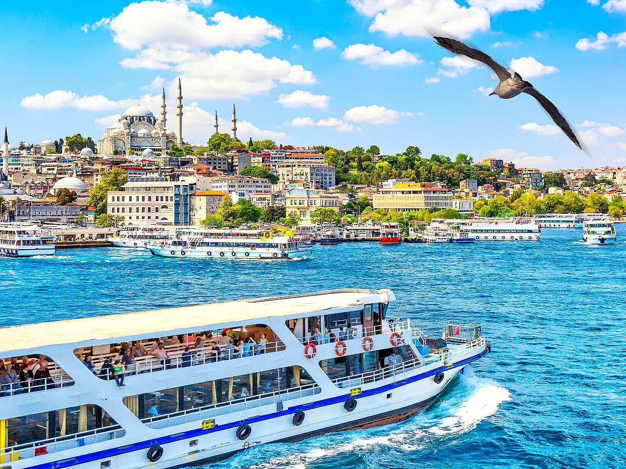 Short Bosphorus Cruise Tour in Istanbul with Hotel Pick-up in Turkey, photo 3