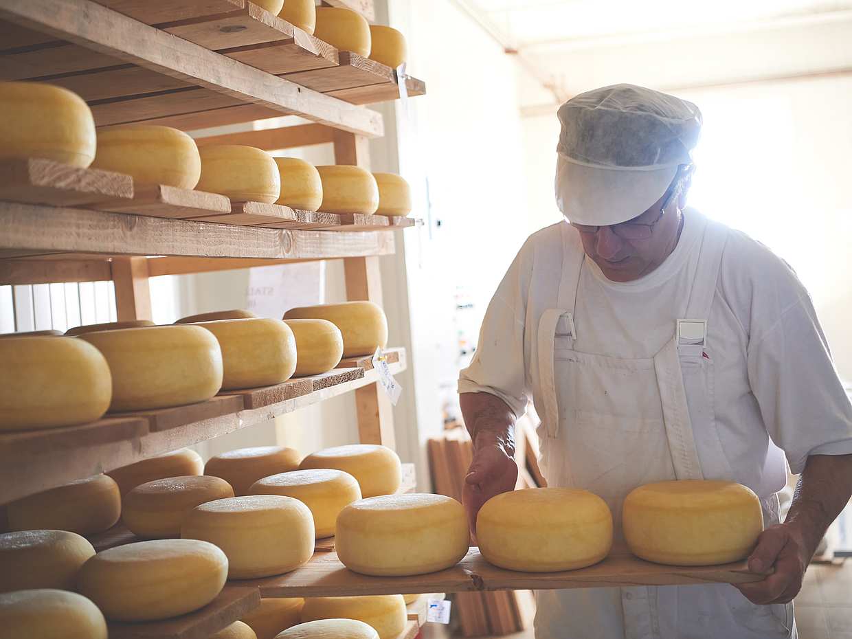 Lemon and Cheese Walking Tour in Sorrento, Italy, photo 4